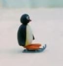 JJ_Penguin